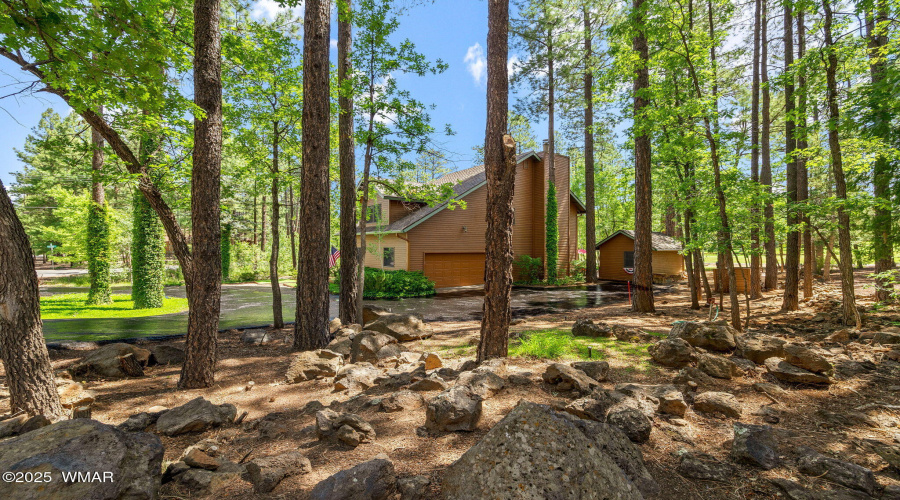 6503BuckSpringsPl-Pinetop-AZ-3