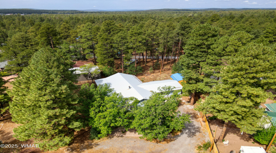 Paxmanphoto_DJI_0243