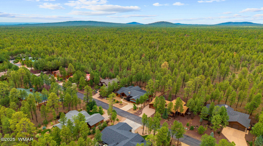 8500BuckSpringsRd-Pinetop-AZ-54
