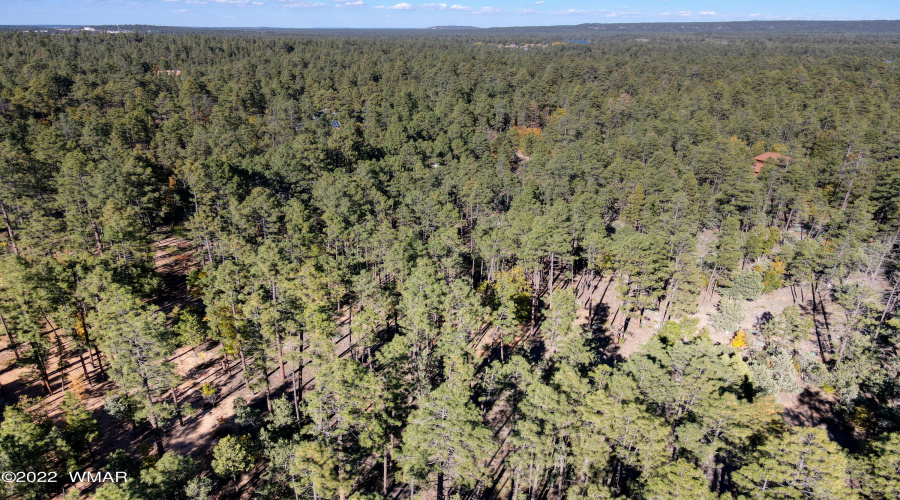 Aerial View (4)