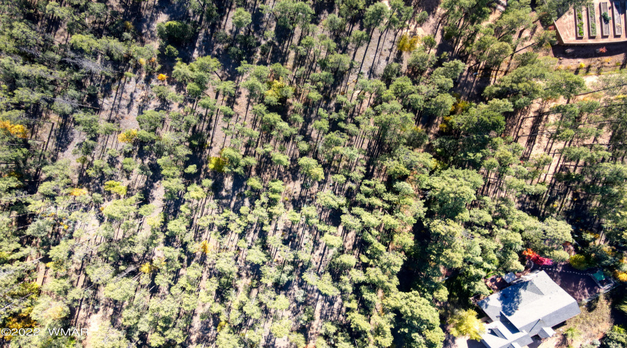 Aerial View (3)