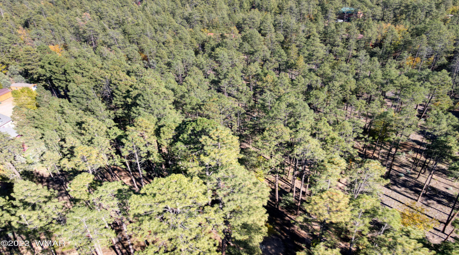 Aerial View (2)