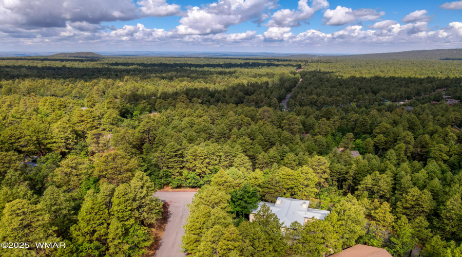 Paxmanphoto_DJI_0328