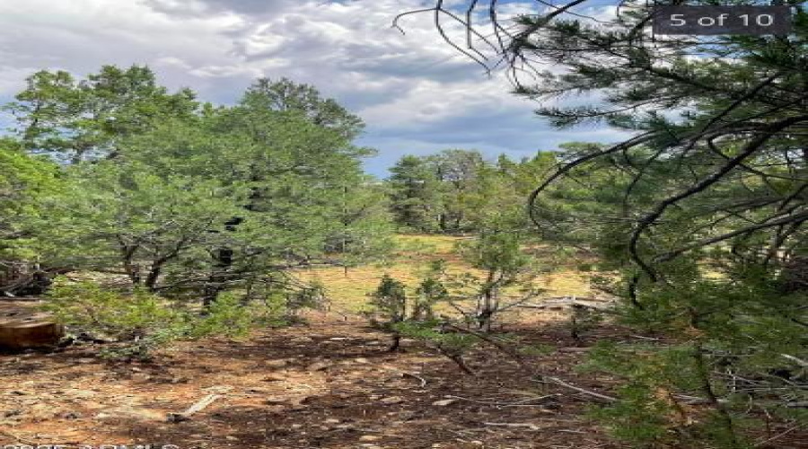 Happy Jack-Mogollon Ranch-Real Estate Ad