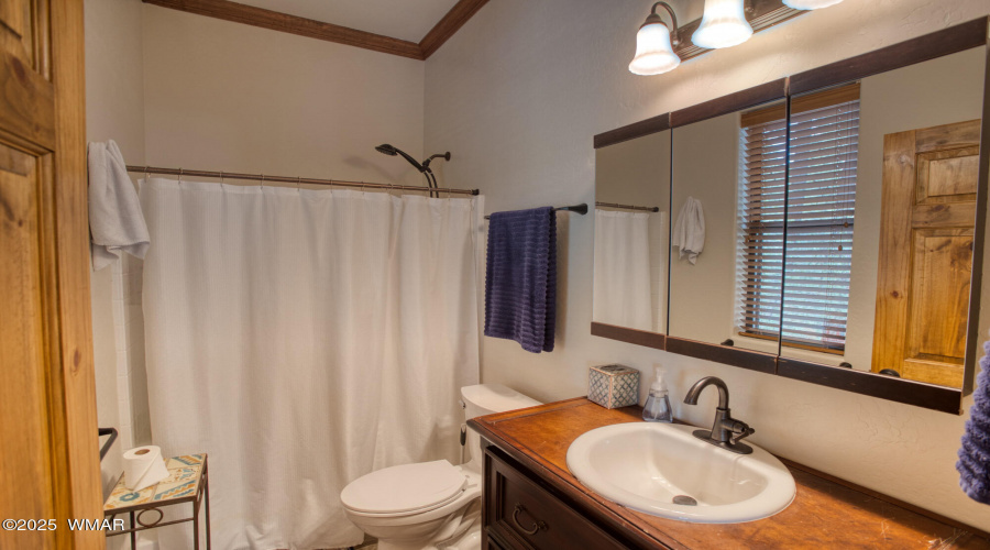guest bath
