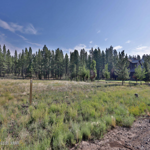 9592 Sierra Springs Dr