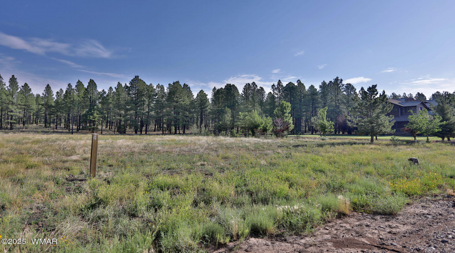 9592 Sierra Springs Dr