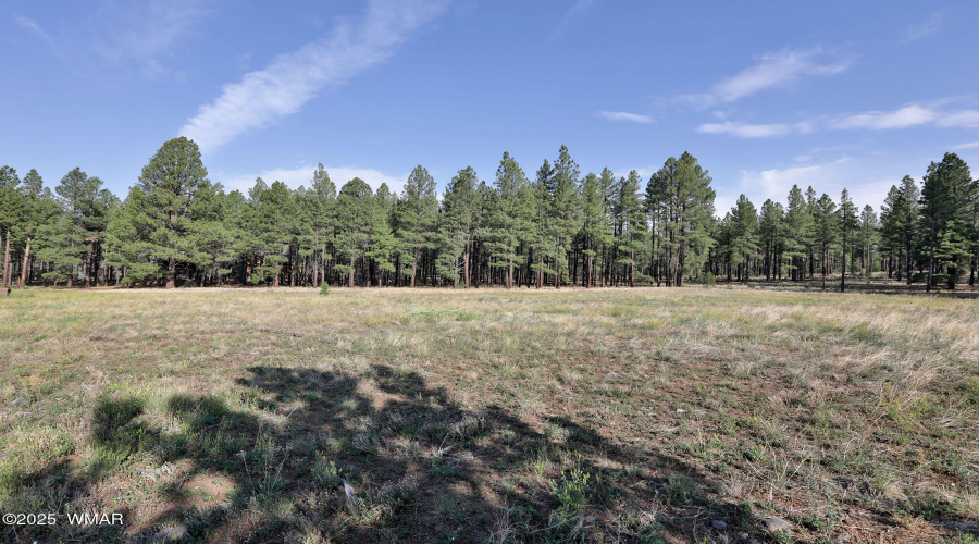 9592 Sierra Springs Dr