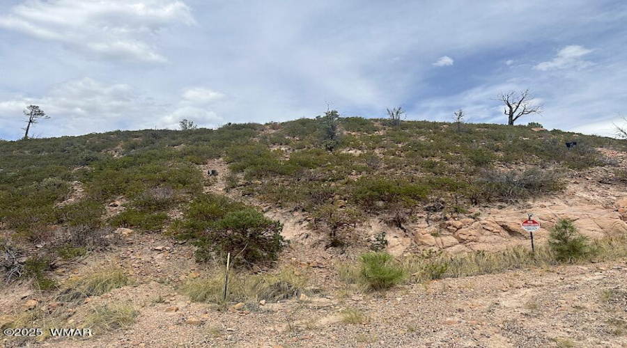 Street View of Hill