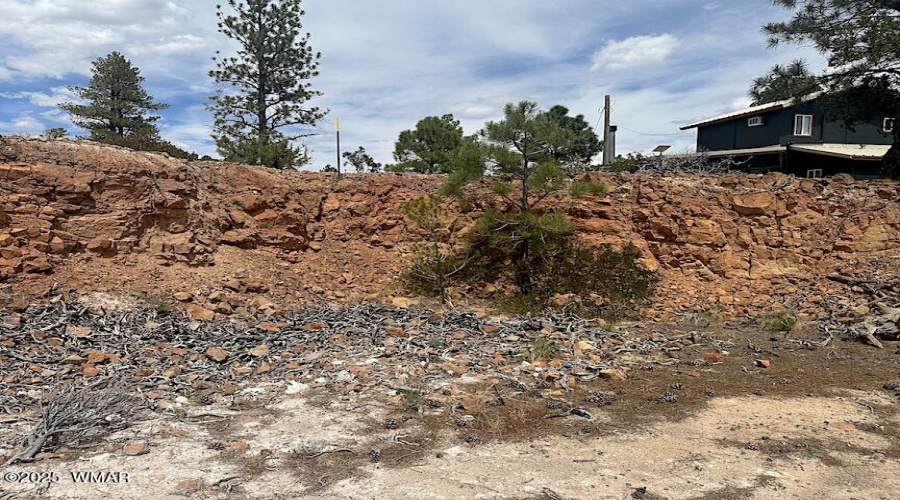 Landscape 2