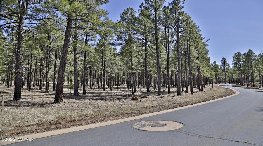 9579 Sierra Springs Dr.
