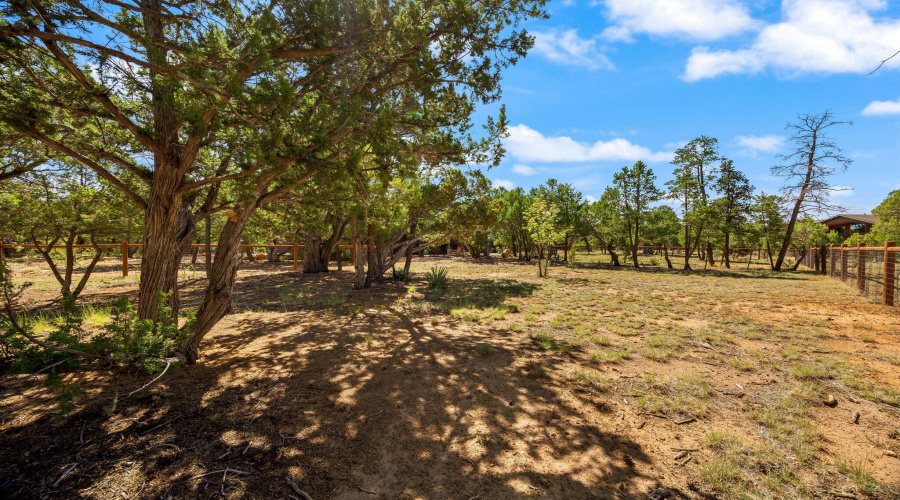 3418 Whistlers Circle Heber (26)