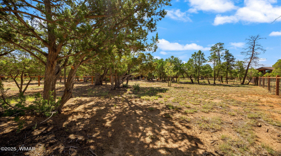 3418 Whistlers Circle Heber (26)