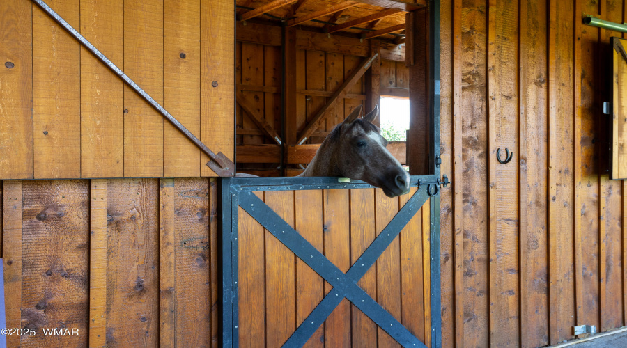 Stables