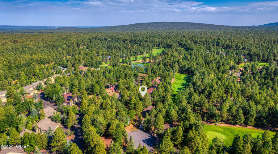 Drone Golf
