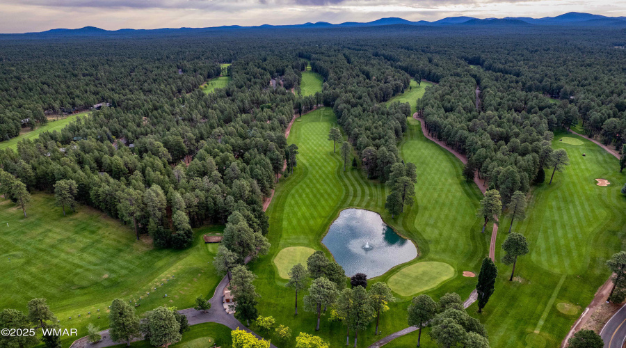 Drone Fairway