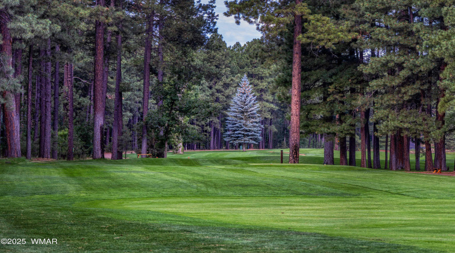 Course Green
