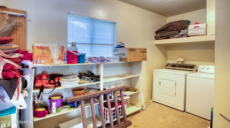Paxmanphoto_PAX_8507