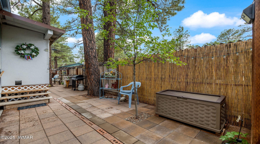 Fully fenced back yard