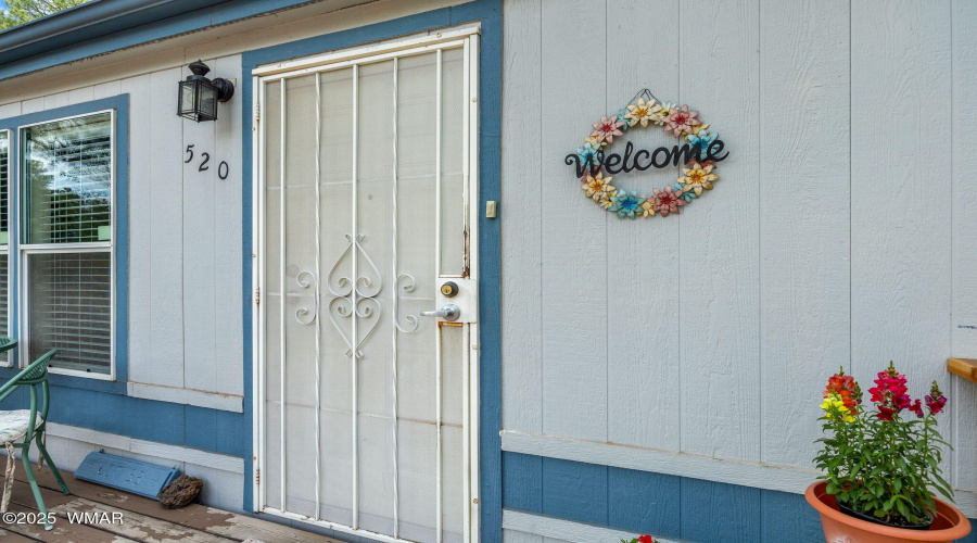 Security front door