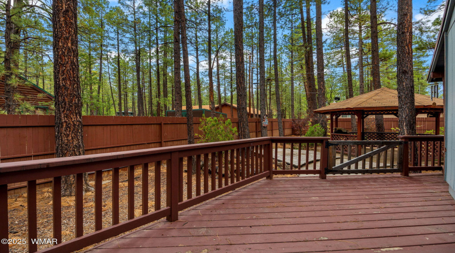 6367ChristmasTreeCir-Pinetop-AZ-23