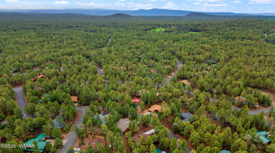 6367ChristmasTreeCir-Pinetop-AZ-31