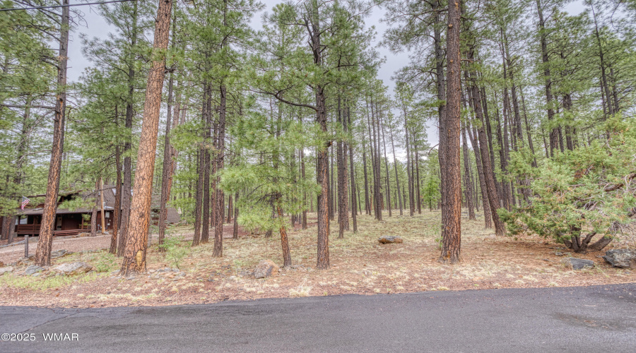 paxmanphotography--4