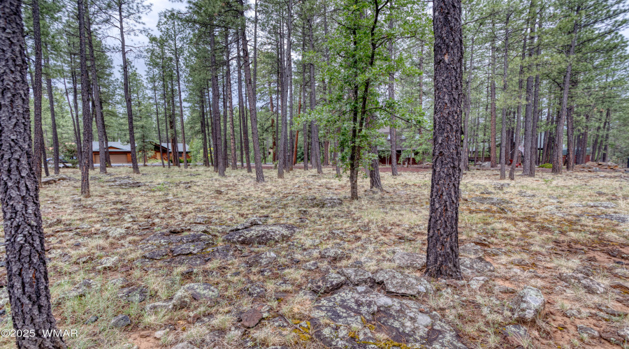 paxmanphotography--6