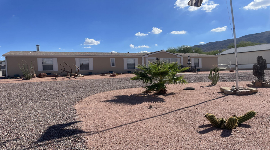 Desert landscaping