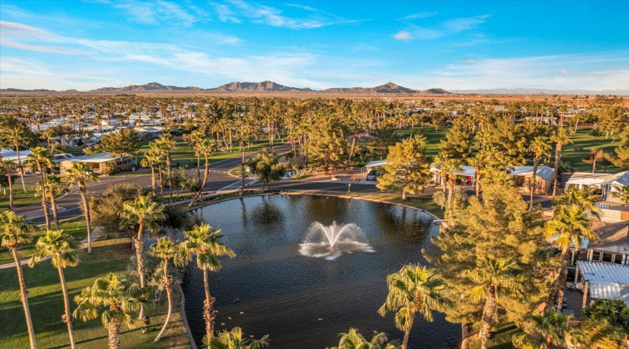 11-DJI_0976