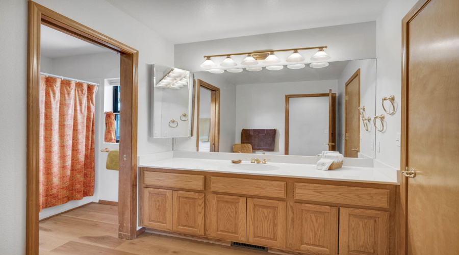 Guest Bathroom (2)