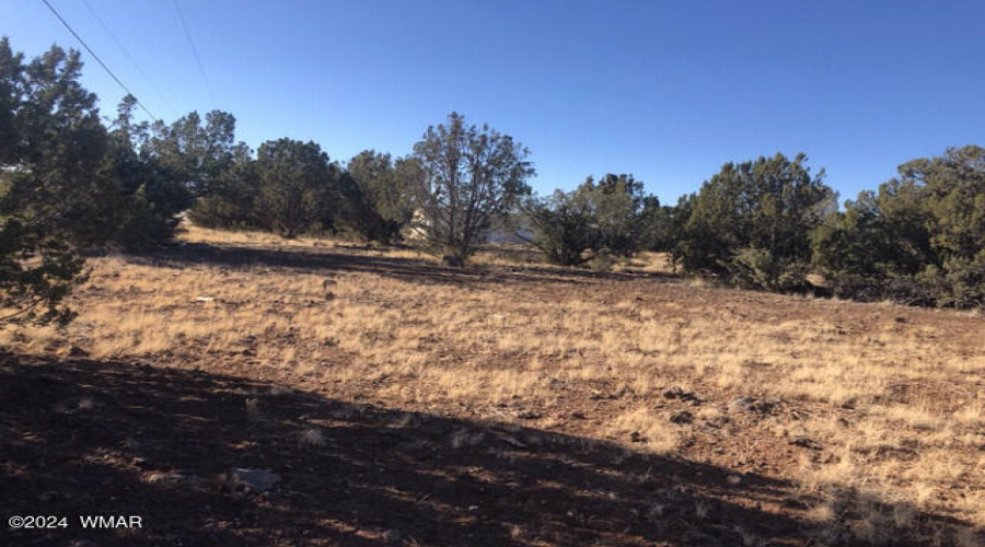 8358SilverCreekDr_50457_11