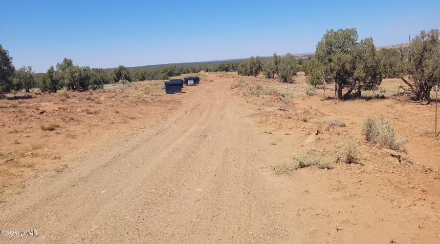 Road in