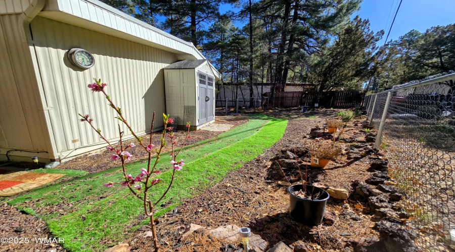 Fenced in area