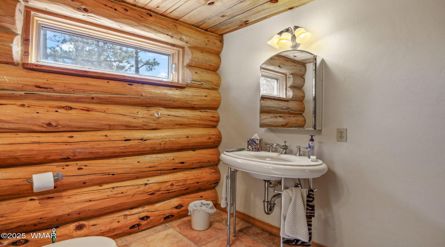Downstairs bath