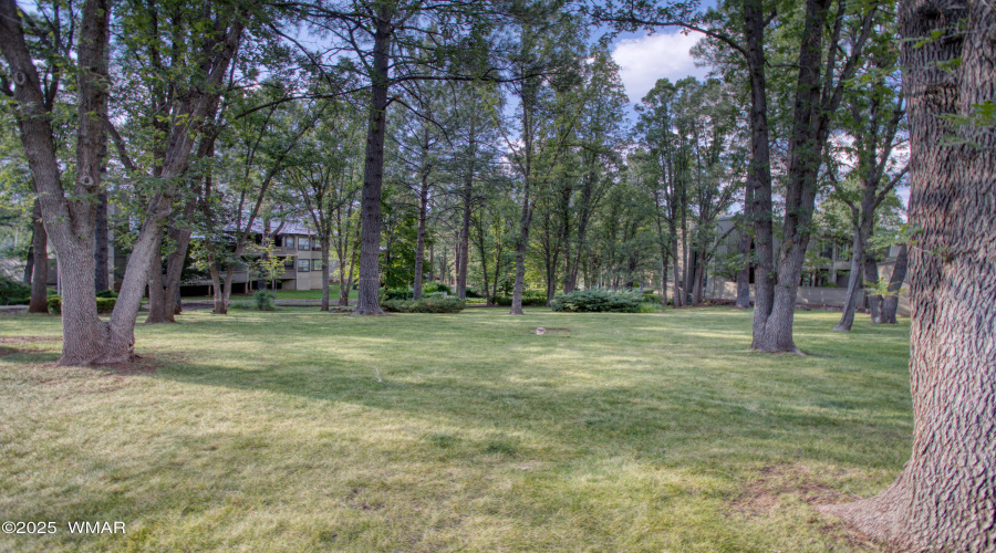 Paxmanphoto_PAX_1125
