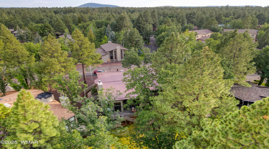 Paxmanphoto_DJI_0205