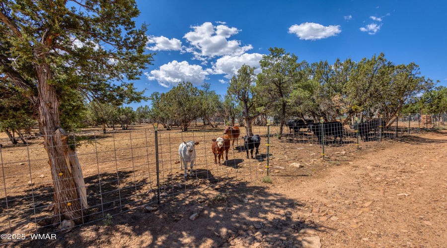 038_photo38_3346_bear_heights_rd._heber_