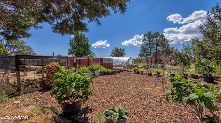 043_photo43_3346_bear_heights_rd._heber_