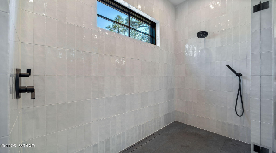 Master Shower