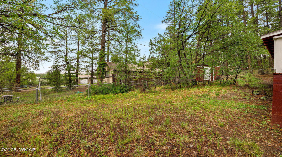 2249SPenrodLn-PinetopLakeside-AZ-23
