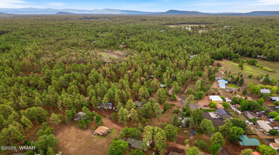 2249SPenrodLn-PinetopLakeside-AZ-32