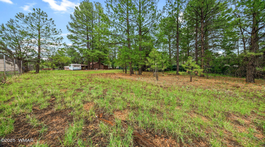 4328ForestGladeDr-ShowLow-AZ-25