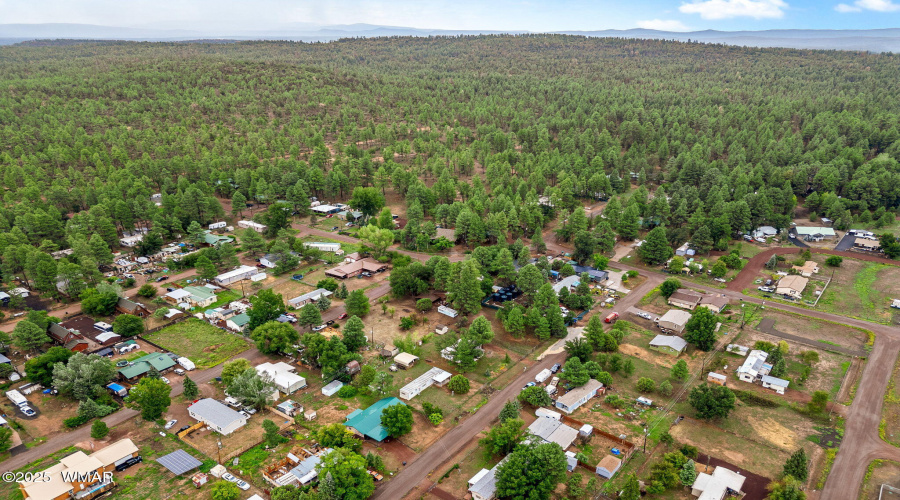 4328ForestGladeDr-ShowLow-AZ-28