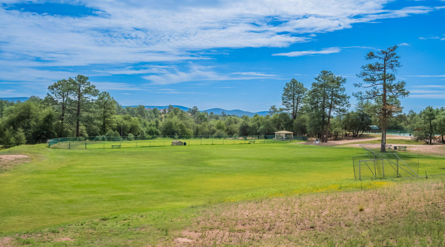 Expansive playground field