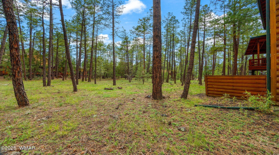 1057LakeShoreDr-PinetopLakeside-AZ-31