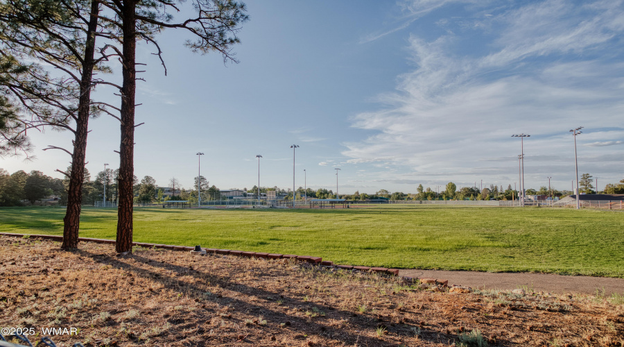 Park Views
