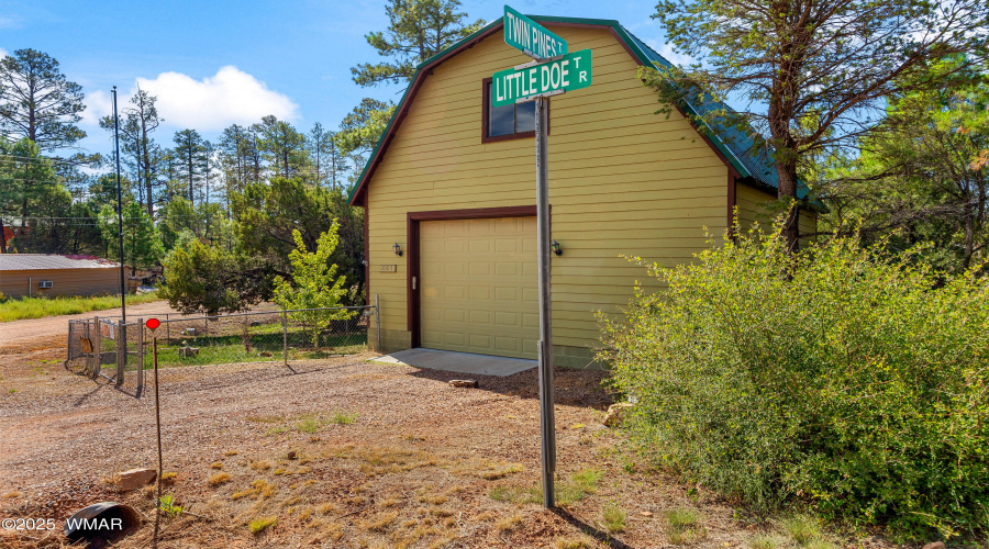 2003 Little Doe Trail, Overgaard, AZ-Cab