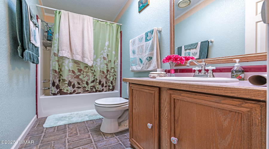 Guest bathroom