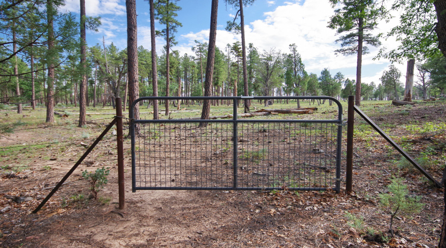 Your own Gate to Forest